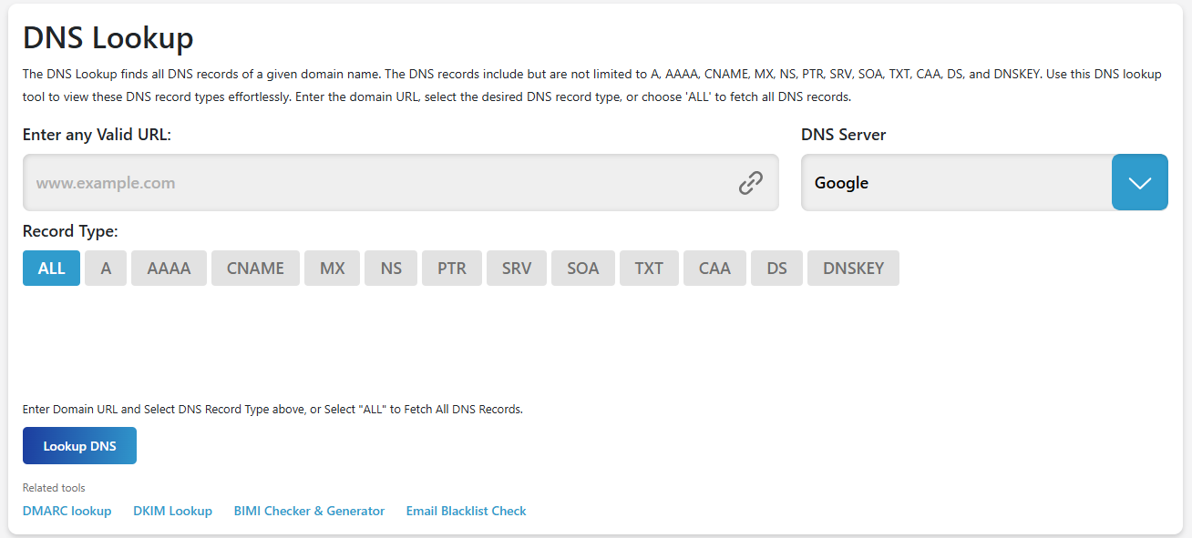 DNS Lookup